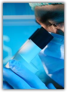 iStock000016548216Small